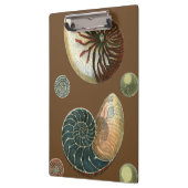 Kakao-Muschel Klemmbrett (Links)