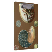 Kakao-Muschel Klemmbrett (Rechts)