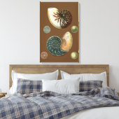 Kakao-Muschel Leinwanddruck (Insitu (Schlafzimmer))