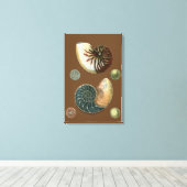 Kakao-Muschel Leinwanddruck (Insitu (Holzboden))