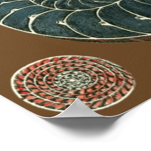 Kakao-Muschel Poster (Ecke)