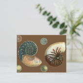 Kakao-Muschel Postkarte (Stehend Vorderseite)