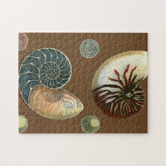 Kakao-Muschel Puzzle (Horizontal)