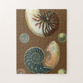 Kakao-Muschel Puzzle (Vertikal)