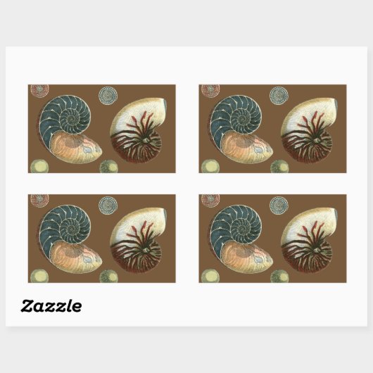 Kakao-Muschel Rechteckiger Aufkleber (Blatt)