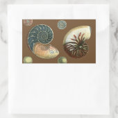 Kakao-Muschel Rechteckiger Aufkleber (Tasche)