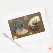 Kakao-Muschel Rechteckiger Aufkleber (Umschlag)