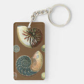 Kakao-Muschel Schlüsselanhänger (Rückseite)