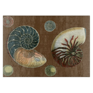 Kakao-Muschel Schneidebrett