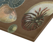 Kakao-Muschel Schneidebrett (Ecke)