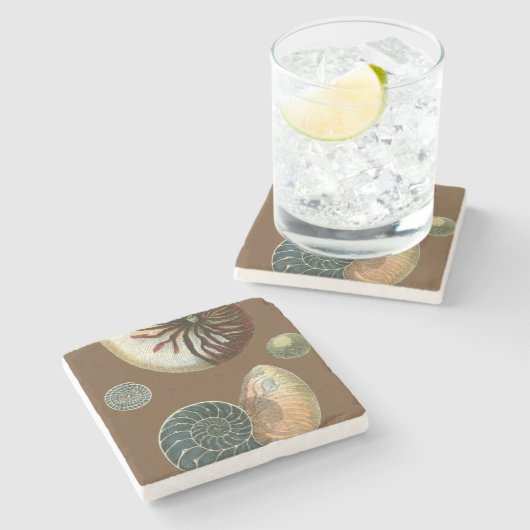 Kakao-Muschel Steinuntersetzer (Seitenansicht)