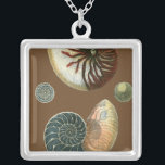 Kakao-Muschel Versilberte Kette<br><div class="desc">Holen Sie sich dieses einzigartige stonengewaschene rote und blaue Muschelbild von Conch auf Ihrem nächsten Produkt. Dieser phantastische Kakaohintergrund dieser beiden einzigartigen Muscheln. Nimm den Strand mit,  wohin du auch gehst.</div>
