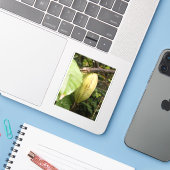 Kakao-Schote Aufkleber (Laptop mit iPhone)