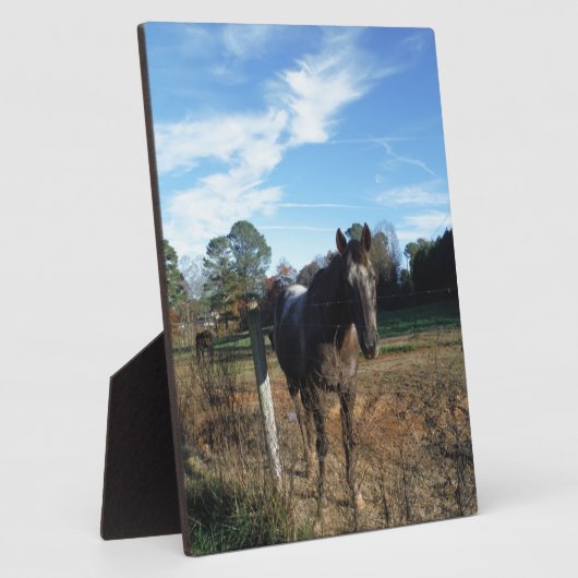 Kakao- und Cremopferpferd Fotoplatte (Seite)