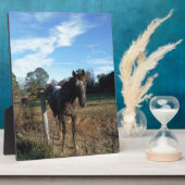 Kakao- und Cremopferpferd Fotoplatte (Seite)