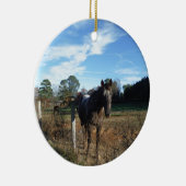 Kakao- und Cremopferpferd Keramik Ornament (Rechts)