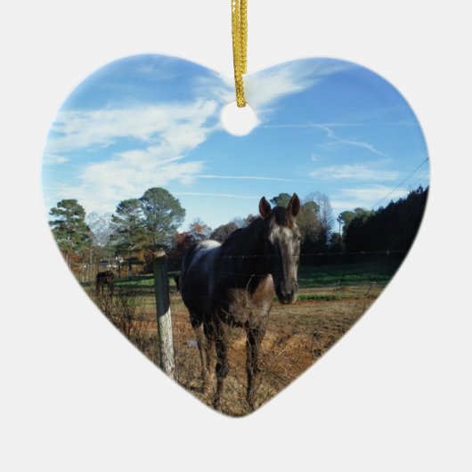 Kakao- und Cremopferpferd Keramik Ornament (Vorne)