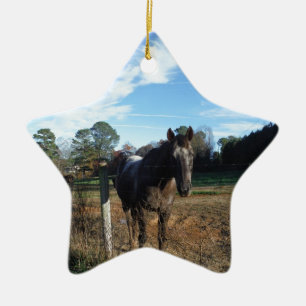Kakao- und Cremopferpferd Keramikornament