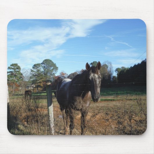Kakao- und Cremopferpferd Mousepad (Vorne)