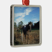 Kakao- und Cremopferpferd Silbernes Ornament (Rechts)