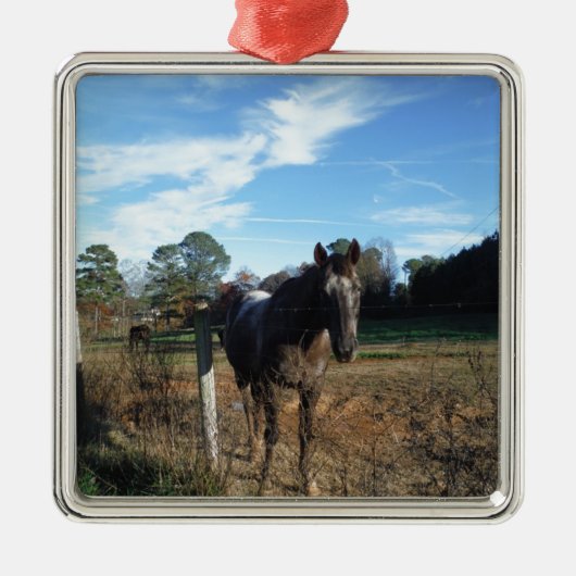 Kakao- und Cremopferpferd Silbernes Ornament (Vorne)