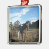 Kakao- und Cremopferpferd Silbernes Ornament (Links)