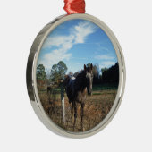 Kakao- und Cremopferpferd Silbernes Ornament (Rechts)