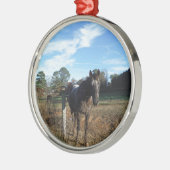 Kakao- und Cremopferpferd Silbernes Ornament (Links)