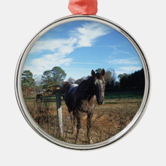 Kakao- und Cremopferpferd Silbernes Ornament (Vorne)