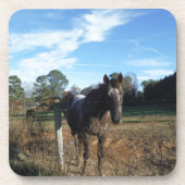 Kakao- und Cremopferpferd Untersetzer (Vorderseite)