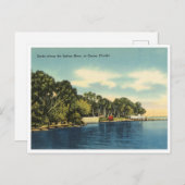Kakao, Vintager Fluss Florida Postkarte (Vorne/Hinten)