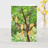 Kakaobaum Karte (Gelbe Blume)