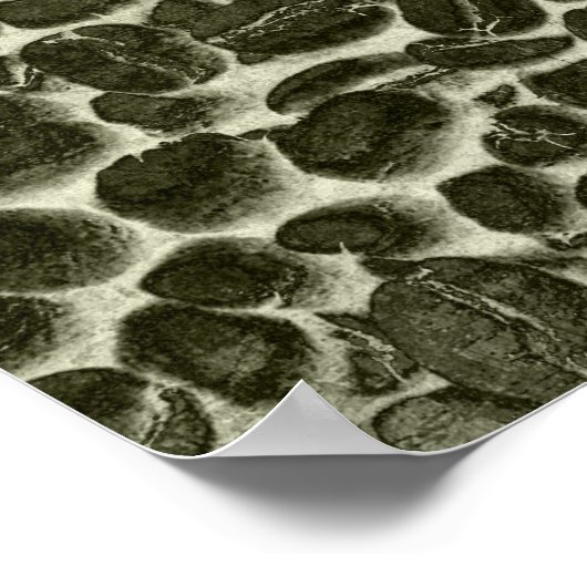 Kakaobohnen Poster (Ecke)