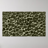 Kakaobohnen Poster (Vorne)