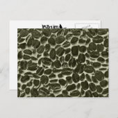 Kakaobohnen Postkarte (Vorne/Hinten)