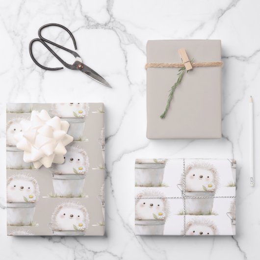 Kakaocreme Igel Gänseblümchen Blumen Eimer Geburts Geschenkpapier Set (Vorderseite)
