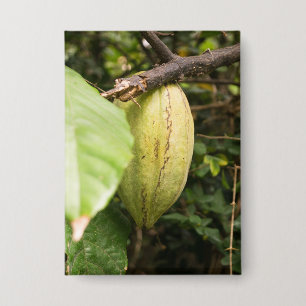 Kakaofrucht Button