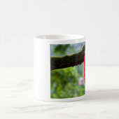 Kakaofrucht rot kaffeetasse (Mittel)