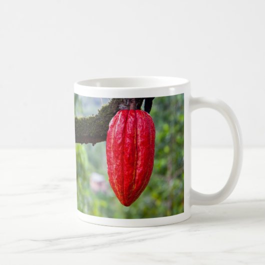 Kakaofrucht rot kaffeetasse (Rechts)