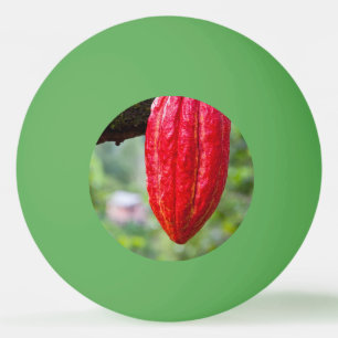 Kakaofrucht rot tischtennisball