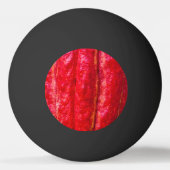 Kakaohülsenrot Tischtennisball (Rückseite)