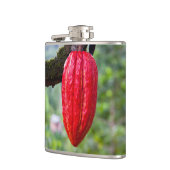 Kakaoschote rot flachmann (Links)