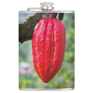 Kakaoschote rot flachmann