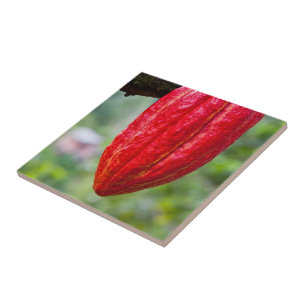 Kakaoschote rot fliese