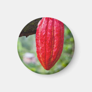 Kakaoschote rot magnet