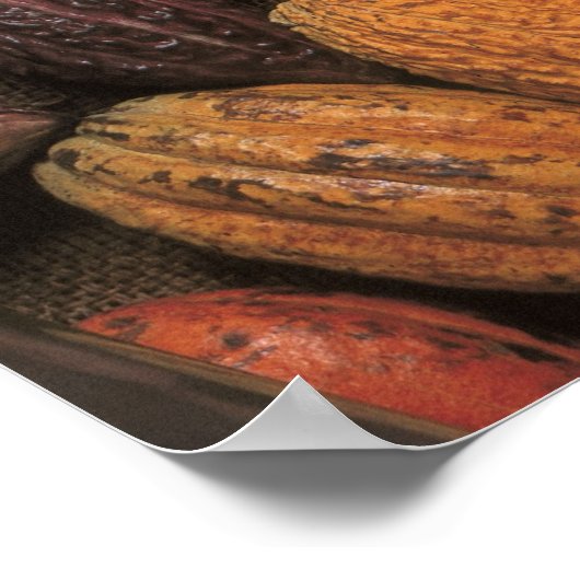 Kakaotöpfe Poster (Ecke)