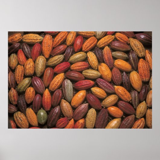 Kakaotöpfe Poster (Vorne)