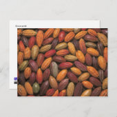 Kakaotöpfe Postkarte (Vorne/Hinten)