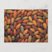 Kakaotöpfe Postkarte (Vorderseite)