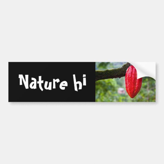 Kakaotorrot Autoaufkleber (Vorne)